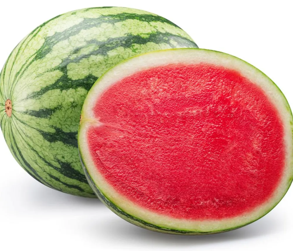 Dehner Gourmet Garten Weinreben & Gartenobst|Melonen- & Kürbispflanzen > Wassermelone, veredelt