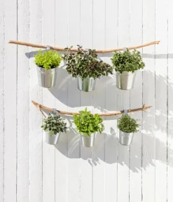 Dehner Gourmet Garten Zitronenmelisse Grün