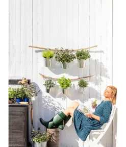 Dehner Gourmet Garten Garten- & Heilkräuter|Gourmet-Kräuter - Zitronenmelisse Grün