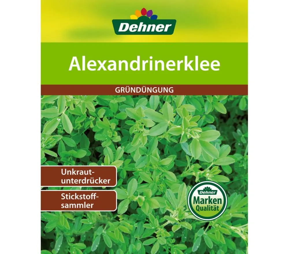 Dehner Mehr Saatgut > Gründüngung Alexandrinerklee, 50 g