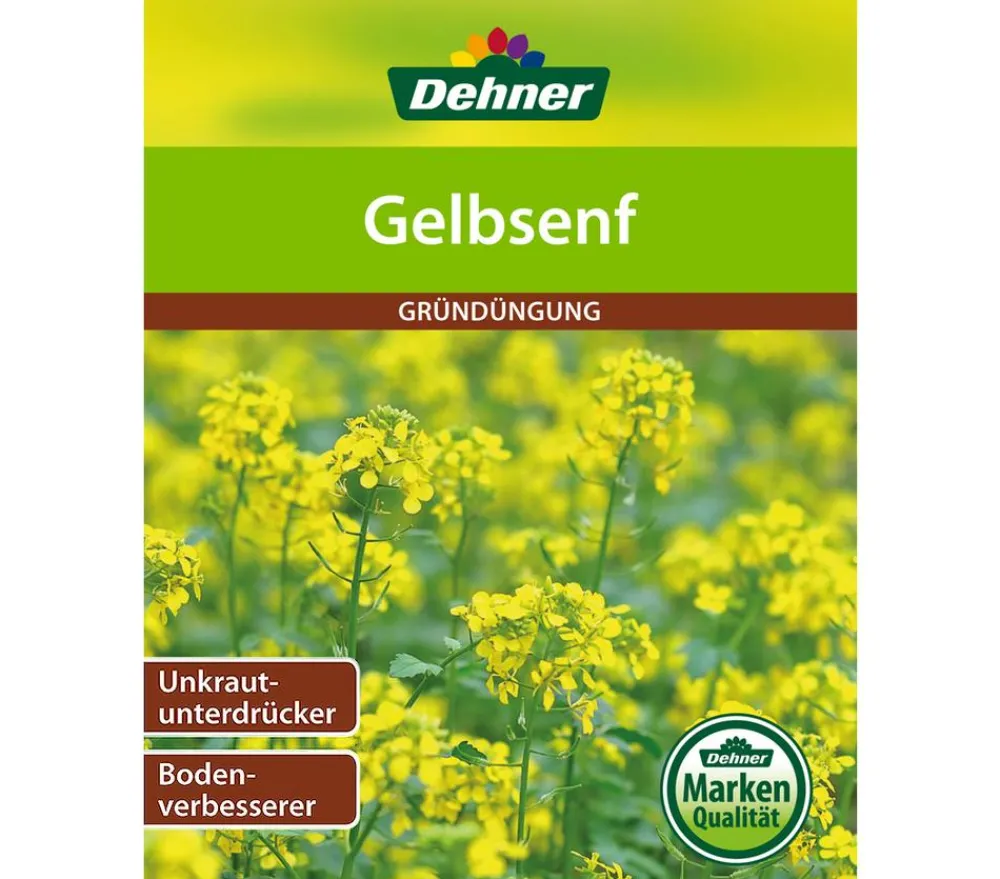 Dehner Gründüngung senf, 80 g Gelb Clearance