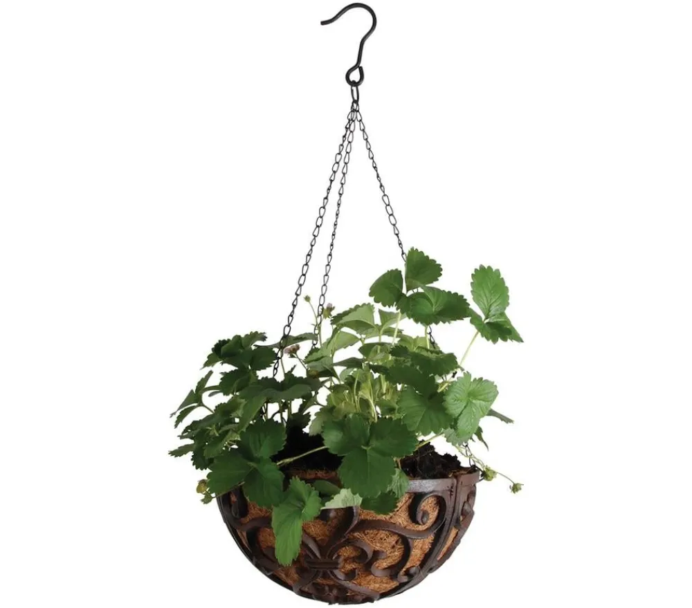 Dehner Blumenampeln & -Schalen > Gusseisen-Hängeampel Katalonien mit Kokoseinlage, rund, rost, ca. Ø30/H15 cm