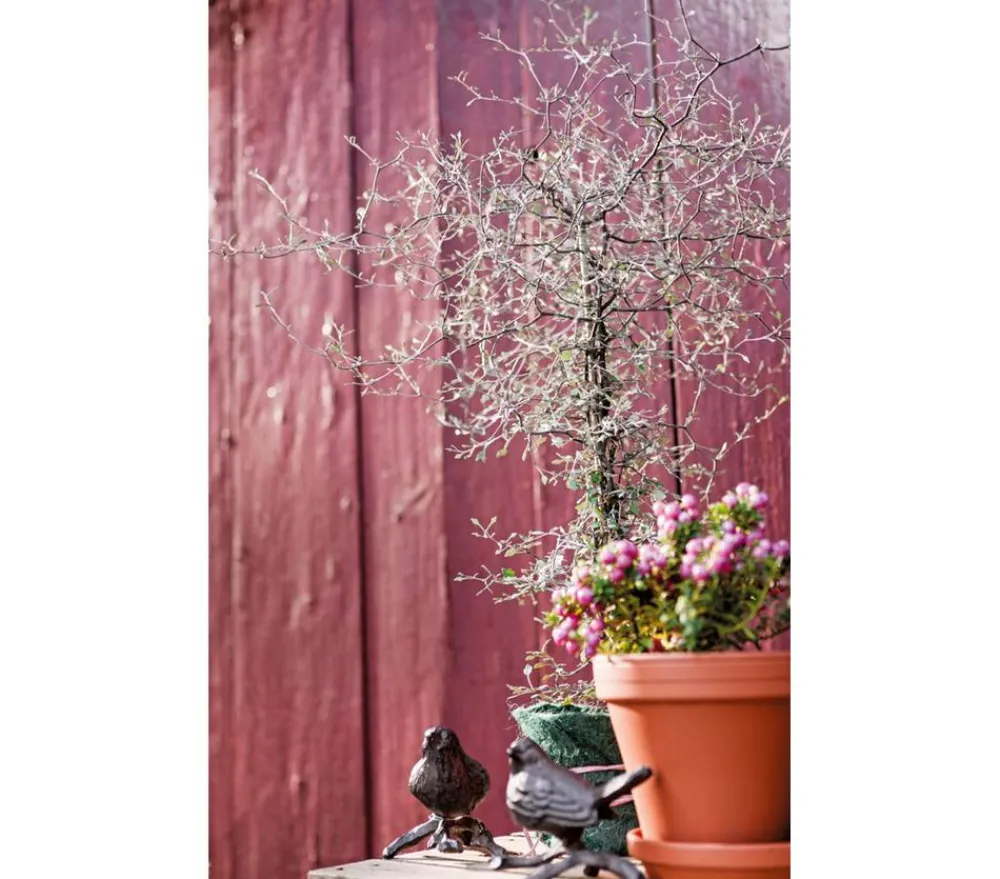 Dehner Gartenzwerge & Gartenfiguren > Gusseisen Vogel