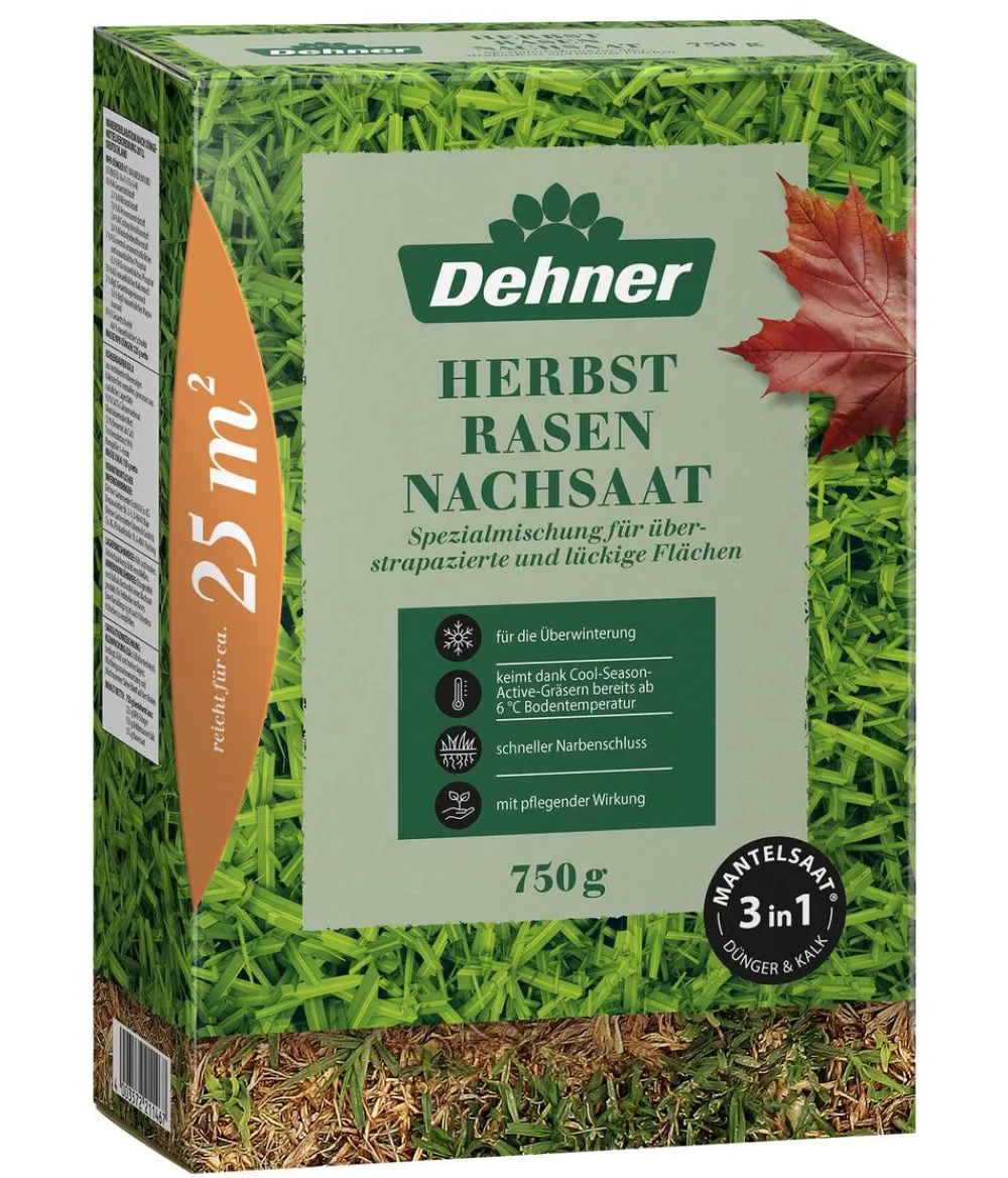 Dehner Herbstrasen-Nachsaat, 750 g Online