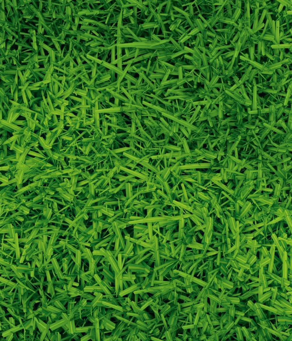 Dehner Herbstrasen-Nachsaat, 750 g Online