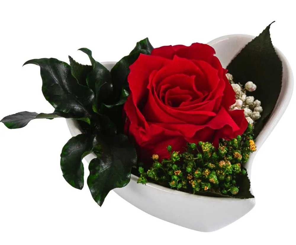 Dehner Herzschale mit Longlife-Rose Aneta, ca. B8/H5 cm Online
