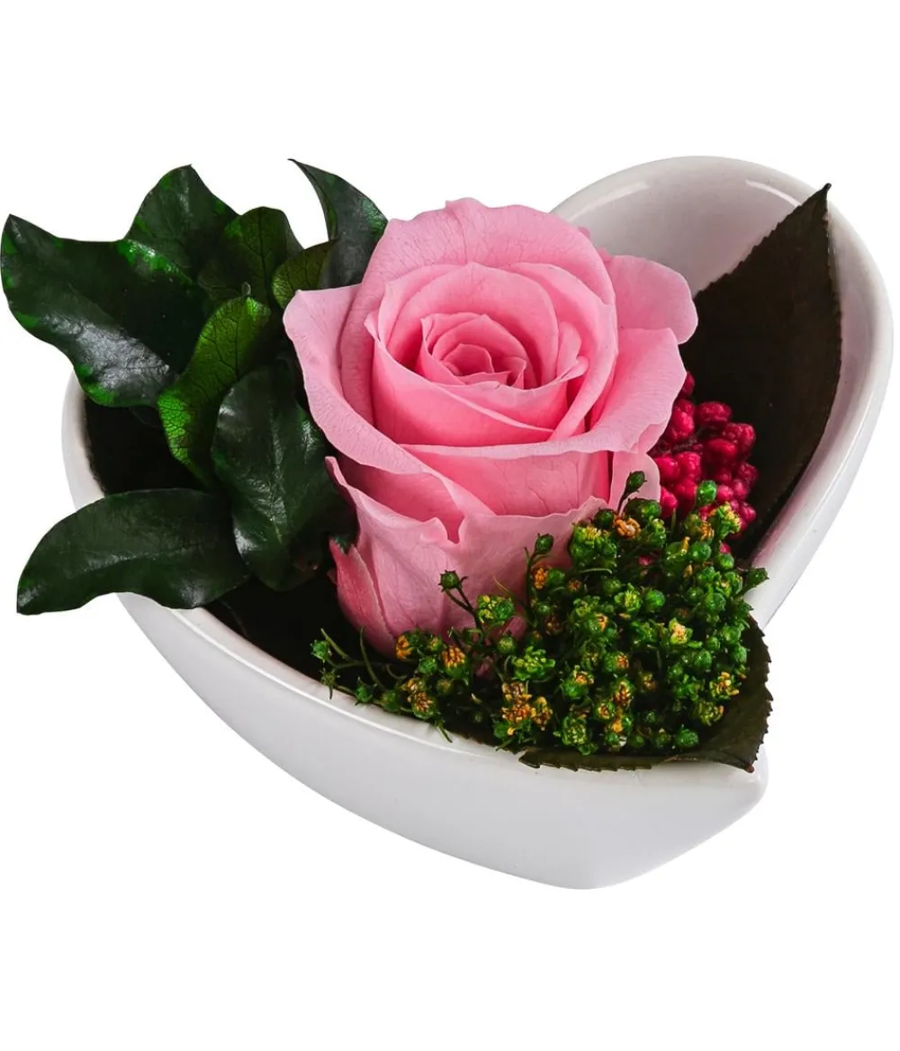 Dehner Konservierte Rosen > Herzschale mit Longlife-Rose Aneta, , ca. B7/H5 cm