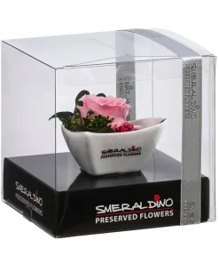 Dehner Konservierte Rosen > Herzschale mit Longlife-Rose Aneta, , ca. B7/H5 cm