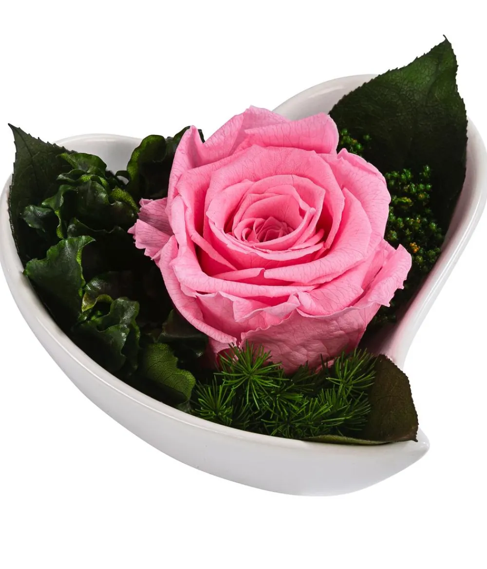 Dehner Konservierte Rosen > Herzschale mit Longlife-Rose Lena, , ca. B11/H7 cm