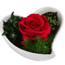 Dehner Konservierte Rosen - Herzschale mit Longlife-Rose Lena, ca. B12/H8 cm