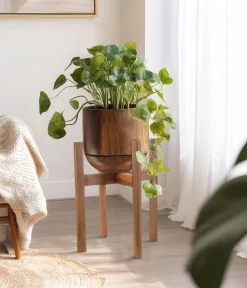 Dehner Holz-Podest Sabine Natur Online