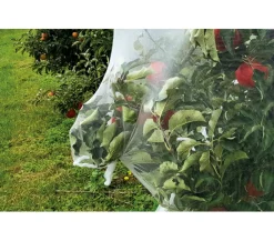 Dehner Pflanzenfolien & Ernteschutz - Insektenschutz-Netz, ca. L500/B210 cm Weiß