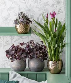 Dehner Orchideentöpfe|Blumentöpfe & Übertöpfe > Keramik-Übertopf Jan, bauchig, ca. Ø16 cm