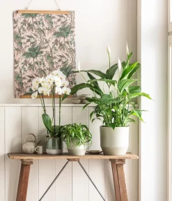 Dehner Orchideentöpfe|Blumentöpfe & Übertöpfe > Keramik-Übertopf Nala, rund, /, ca. Ø13 cm