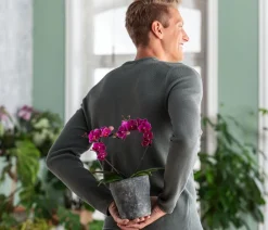 Dehner Orchideentöpfe|Blumentöpfe & Übertöpfe > Keramik-Übertopf Nature Earth, konisch, , ca. Ø13 cm