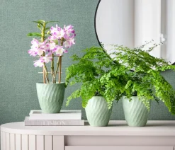 Dehner Orchideentöpfe|Blumentöpfe & Übertöpfe > Keramik-Übertopf Quinn, konisch, ca. Ø14 cm