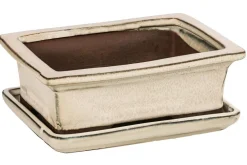 Dehner Keramik-Bonsaischale, rechteckig, ca. B18/H6/T14 cm Gold Clearance