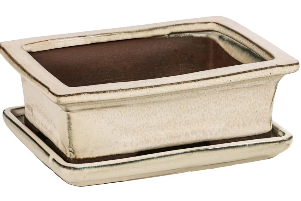 Dehner Keramik-Bonsaischale, rechteckig, ca. B18/H6/T14 cm Gold Clearance