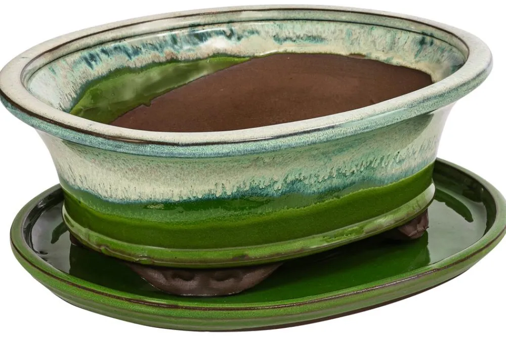 Dehner Keramik-Bonsaischale, oval, /beige Hellgrün Outlet