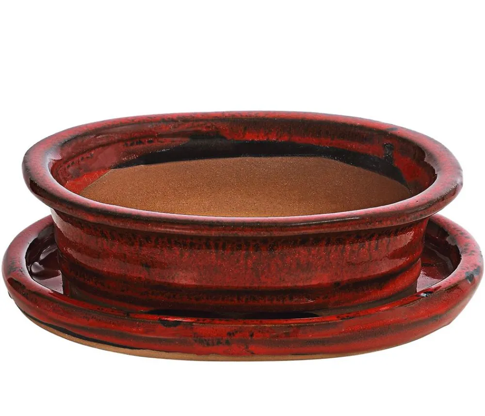 Dehner Keramik-Bonsaischale, oval, rot Dunkelrot Best
