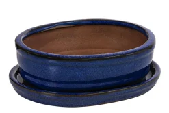 Dehner Bonsaischalen|Blumenampeln & -Schalen - Keramik-Bonsaischale, oval, ca. B15/H4,5/T12 cm Blau