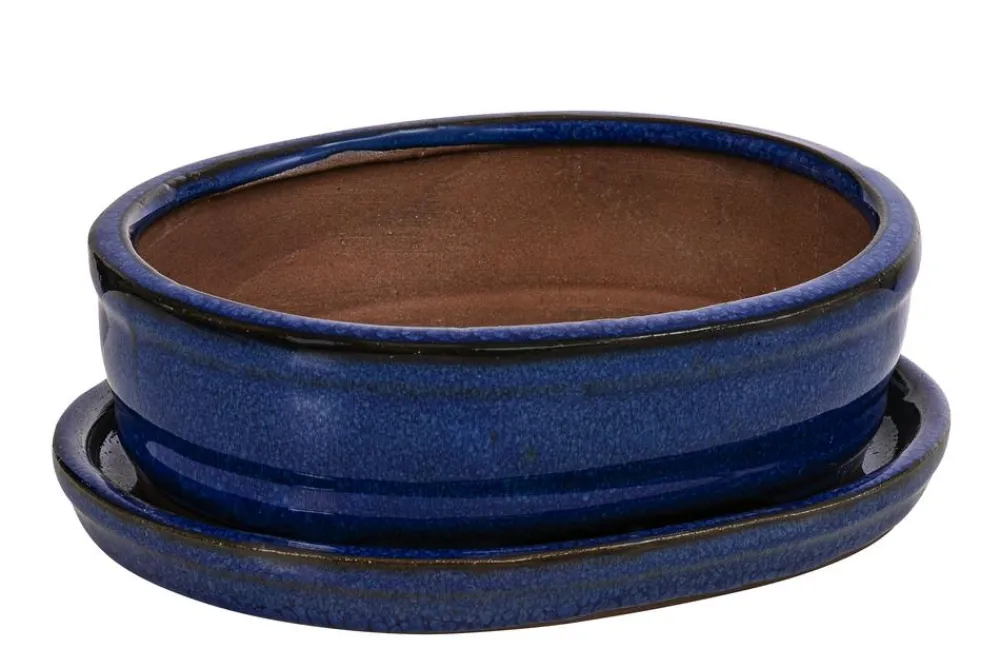 Dehner Bonsaischalen|Blumenampeln & -Schalen - Keramik-Bonsaischale, oval, ca. B15/H4,5/T12 cm Blau
