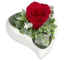 Dehner Konservierte Rosen > Keramik-Herz mit Longlife-Rose Cindy, , ca. B17/H10/T17 cm