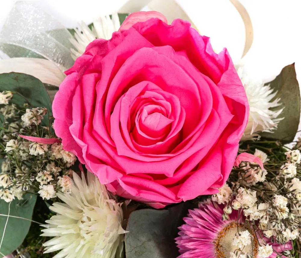 Dehner Konservierte Rosen > Keramik-Jardiniere mit Longlife-Rose, , ca. B17/H12/T8 cm