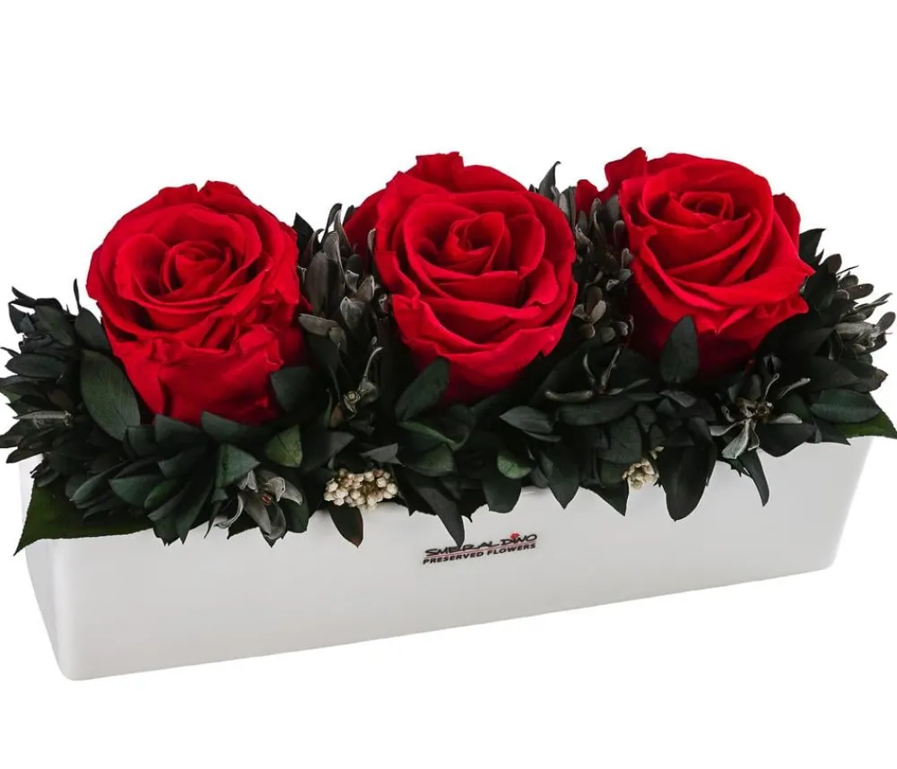 Dehner Keramik-Jardiniere mit Longlife-Rose Elen, , ca. B23/H11/T7 cm New