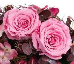Dehner Konservierte Rosen - Keramik-Jardiniere mit Longlife-Rose Juna, , ca. B23/H15/T12 cm Rosa