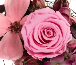 Dehner Konservierte Rosen - Keramik-Jardiniere mit Longlife-Rose Mila, , ca. B17/H12/T8 cm Rosa