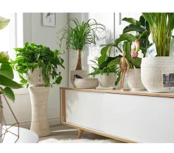 Dehner Blumensäulen - Keramik-Pflanzsäule Rustika, , ca. Ø24/H55 cm Creme
