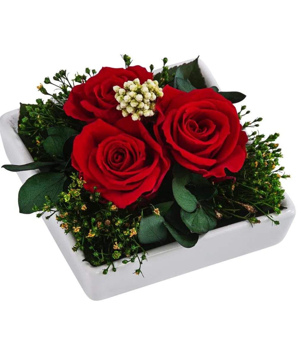 Dehner Konservierte Rosen > Keramik-Schale mit Longlife-Rose Zina, , ca. B10/H7/T10 cm