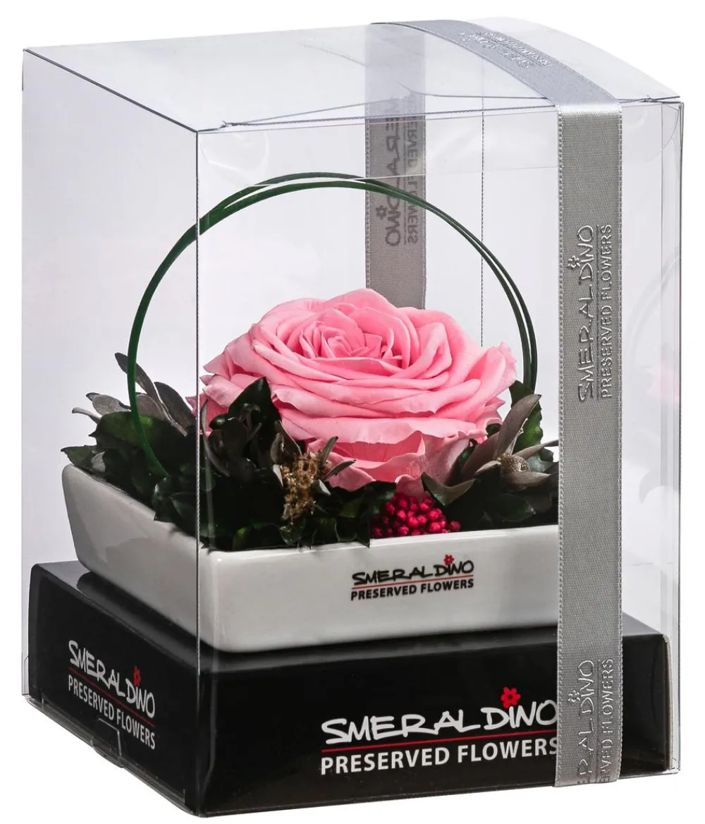 Dehner Konservierte Rosen > Keramik-Schale mit Longlife-Rose Dita, ca. B10/H11/T10 cm