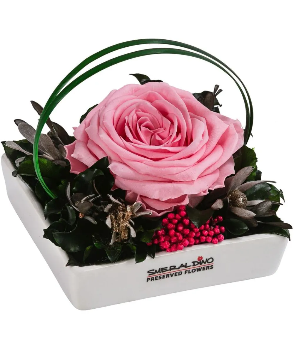 Dehner Konservierte Rosen > Keramik-Schale mit Longlife-Rose Dita, ca. B10/H11/T10 cm