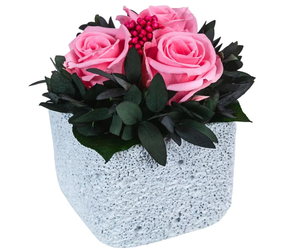 Dehner Konservierte Rosen > Keramik-Schale mit Longlife-Rose Izzy, ca. Ø12/H16 cm