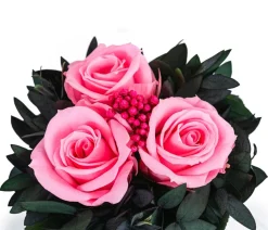 Dehner Konservierte Rosen > Keramik-Schale mit Longlife-Rose Izzy, ca. Ø12/H16 cm