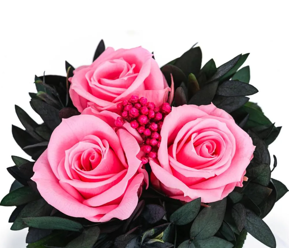 Dehner Konservierte Rosen > Keramik-Schale mit Longlife-Rose Izzy, ca. Ø12/H16 cm