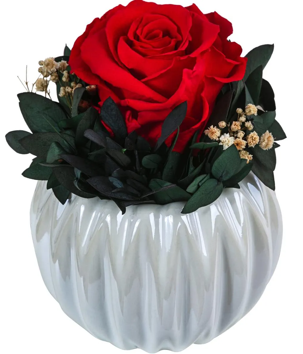 Dehner Konservierte Rosen - Keramik-Schale mit Longlife-Rose Perla, ca. Ø12/H16 cm Rot