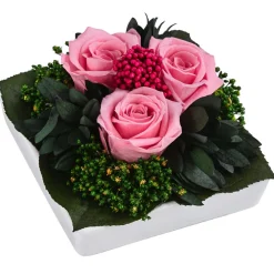 Dehner Konservierte Rosen - Keramik-Schale mit Longlife-Rose Zina, ca. B9,5/H6 cm