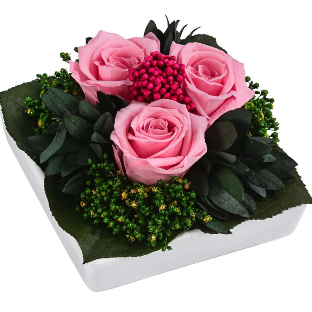 Dehner Konservierte Rosen - Keramik-Schale mit Longlife-Rose Zina, ca. B9,5/H6 cm