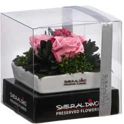 Dehner Konservierte Rosen - Keramik-Schale mit Longlife-Rose Zina, ca. B9,5/H6 cm
