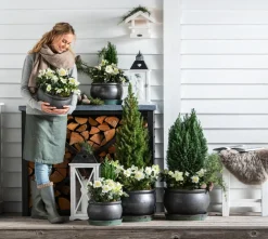 Dehner Blumentöpfe & Übertöpfe - Keramik-Topf Bavaria, bauchig Anthrazit