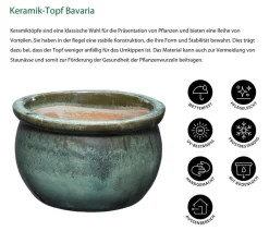 Dehner Blumentöpfe & Übertöpfe - Keramik-Topf Bavaria, bauchig Grün