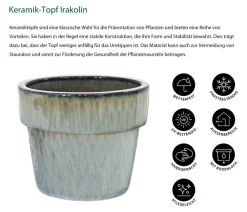 Dehner Blumentöpfe & Übertöpfe > Keramik-Topf Irakolin, rund
