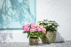 Dehner Blumentöpfe & Übertöpfe - Keramik-Topf Rhodos, rund, blau-