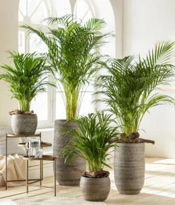 Dehner Keramik-Vase Lana, bauchig, Braun Online