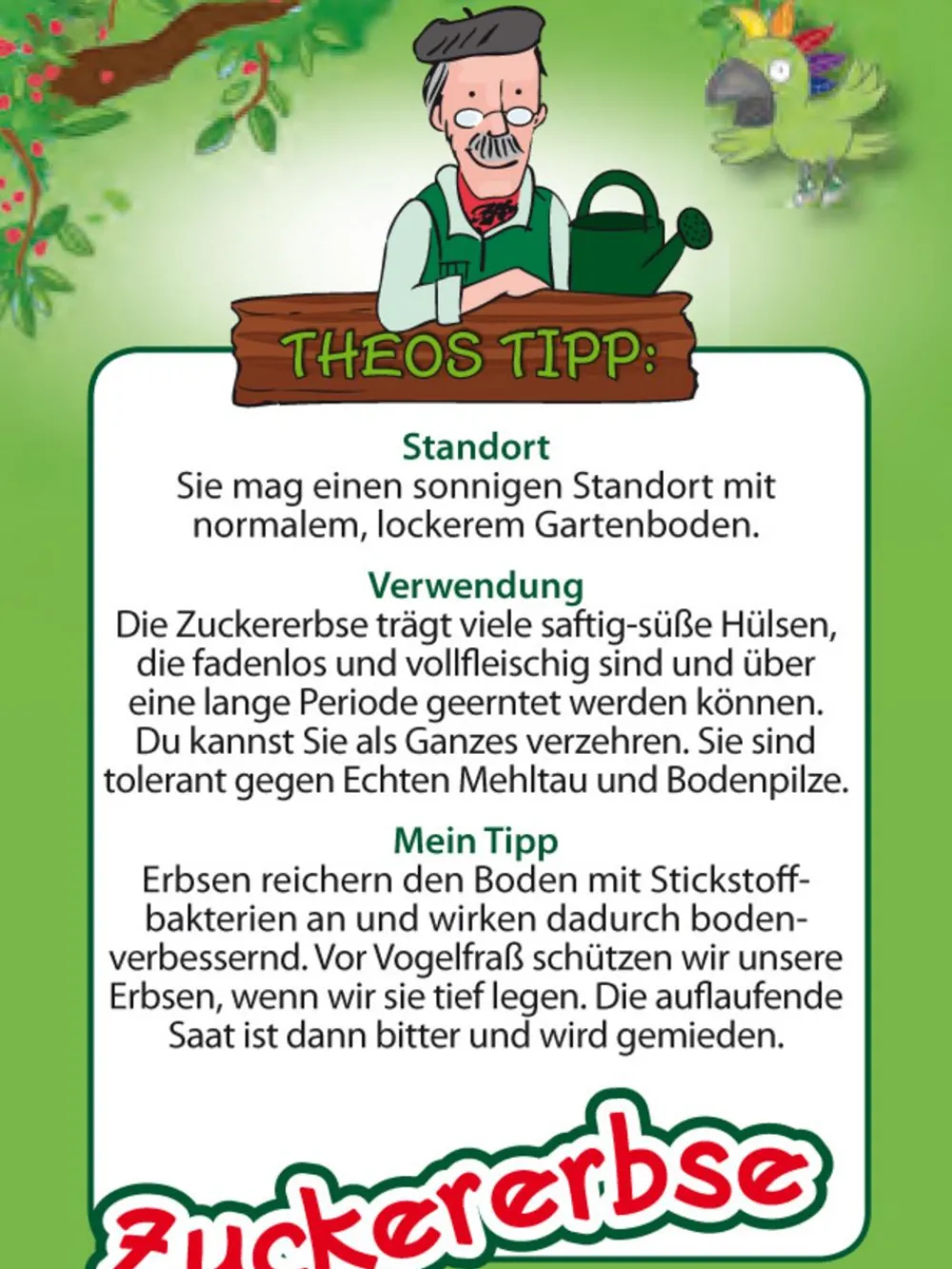 Dehner Kids Gartengemüse > Zuckererbse