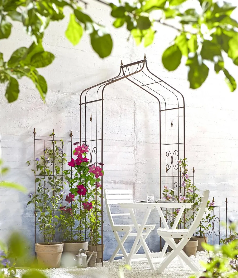 Dehner Kombi-Spalier Clematis, rost/ Gold New
