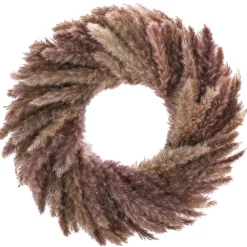 Dehner Kränze & Pflanzendeko > Kranz Pampas, ca. Ø45 cm